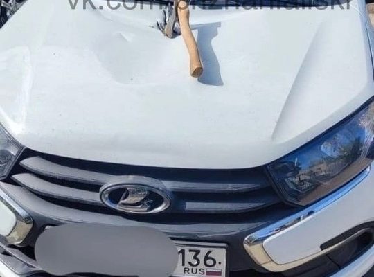 Удивительное во дворе