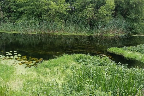 Воронежские эксперты обнаружили незаконное вспахивание у реки Тихая Сосна